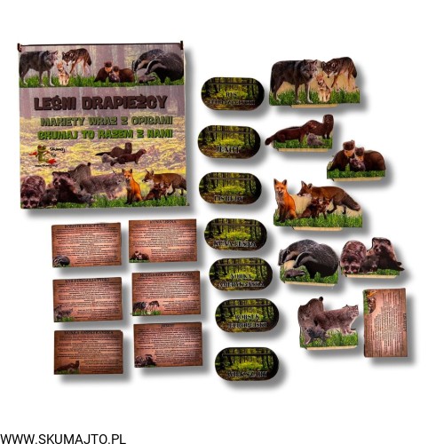 Projekt bez nazwy - 2024-10-29T123053.012.jpg