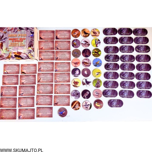 Projekt bez nazwy - 2024-11-03T165205.967.jpg