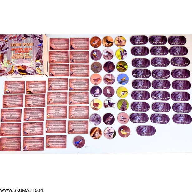 Projekt bez nazwy - 2024-11-03T165205.967.jpg