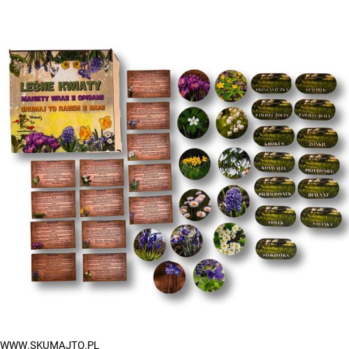 Projekt bez nazwy - 2024-11-03T165015.550.jpg