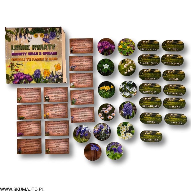 Projekt bez nazwy - 2024-11-03T165015.550.jpg