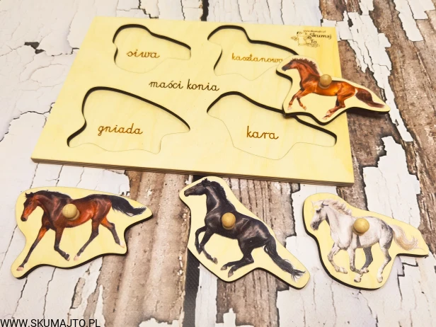 122887581_736215603919192_1192044830901633178_n