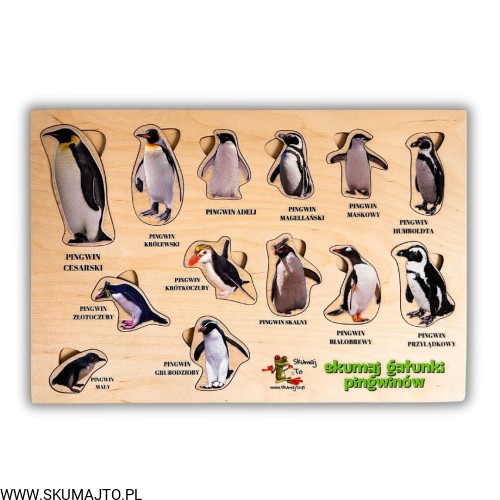 Projekt bez nazwy - 2024-11-18T113139.023.jpg