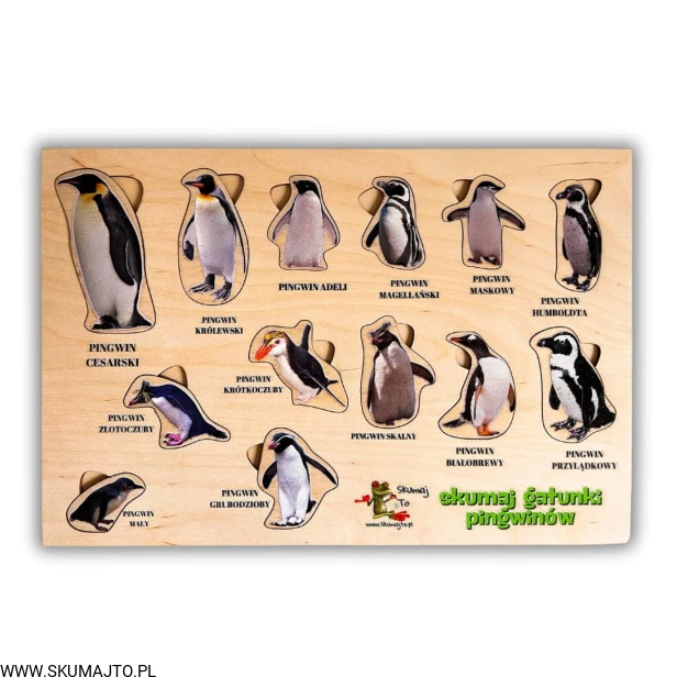 Projekt bez nazwy - 2024-11-18T113139.023.jpg