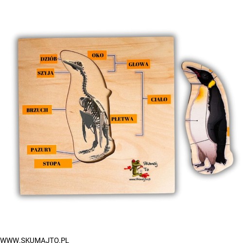 Projekt bez nazwy - 2024-11-18T112955.430.jpg