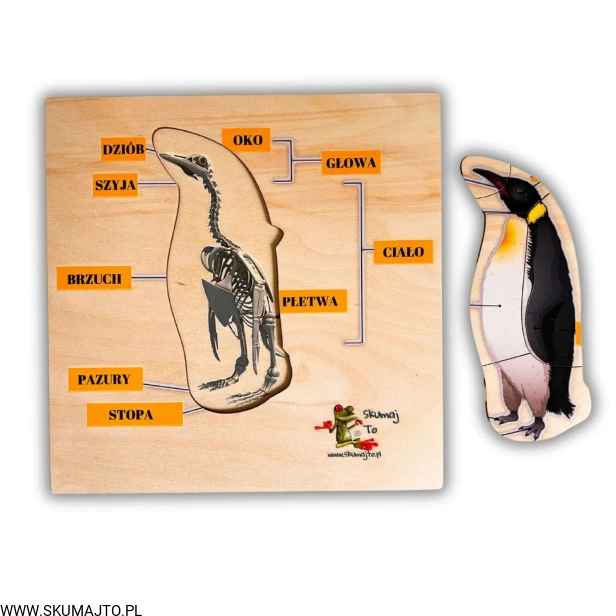 Projekt bez nazwy - 2024-11-18T112955.430.jpg