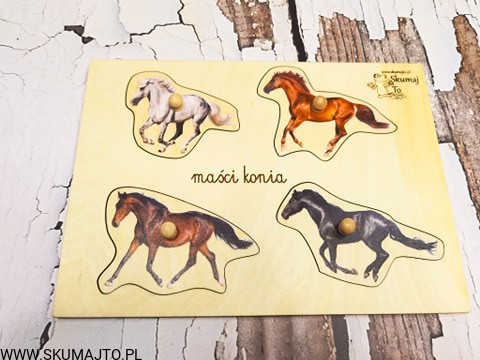 123026051_1886244598193936_1254253381420616845_n