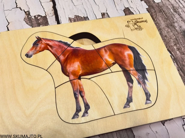 123010898_799694690820882_1678831630205564157_n