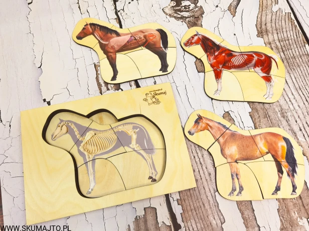 122908773_692777708337480_2327603181850180647_n