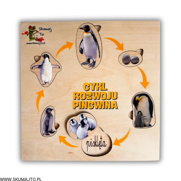 Projekt bez nazwy - 2024-11-18T112827.943.jpg