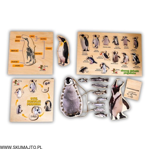 Projekt bez nazwy - 2024-11-18T113234.242.jpg