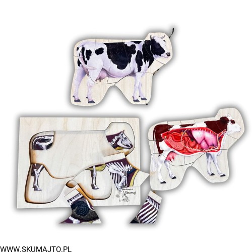 Projekt bez nazwy - 2024-11-26T182821.424.jpg