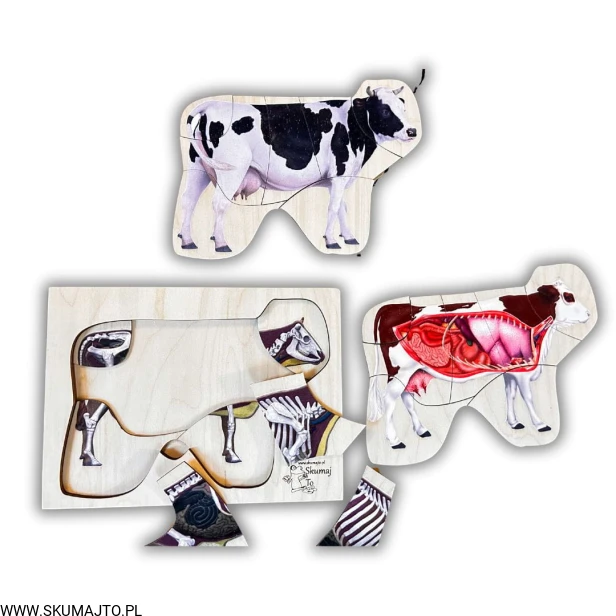 Projekt bez nazwy - 2024-11-26T182821.424.jpg