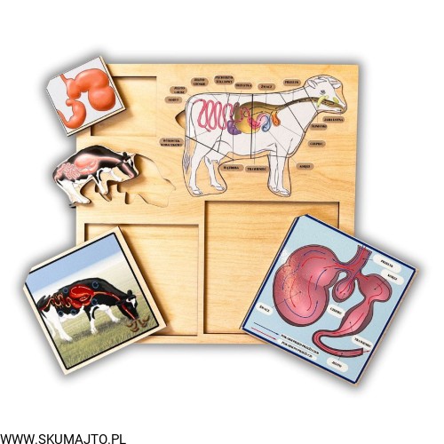 Projekt bez nazwy - 2024-11-26T181955.095.jpg