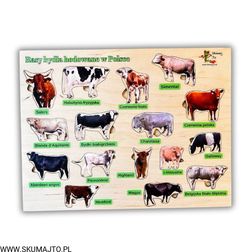 Projekt bez nazwy - 2024-11-26T182656.470.jpg