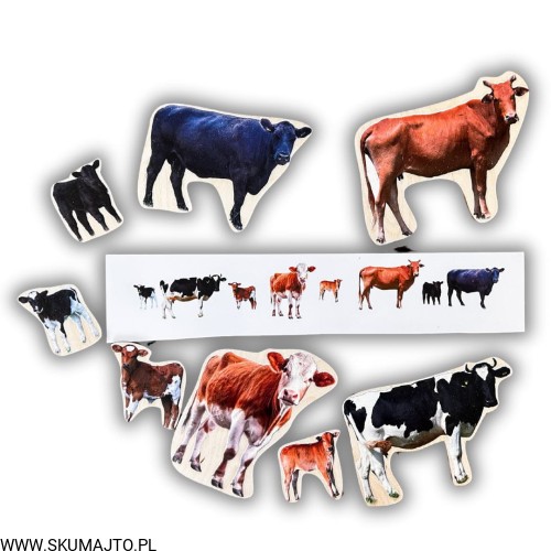 Projekt bez nazwy - 2024-11-26T182515.420.jpg