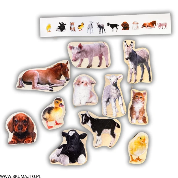 Projekt bez nazwy - 2024-11-26T181805.831.jpg