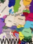 IMG_6339.jpg