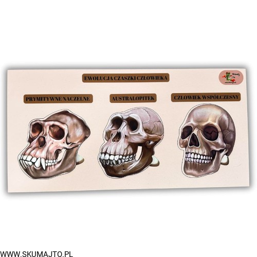 Projekt bez nazwy - 2025-02-03T143712.506.jpg