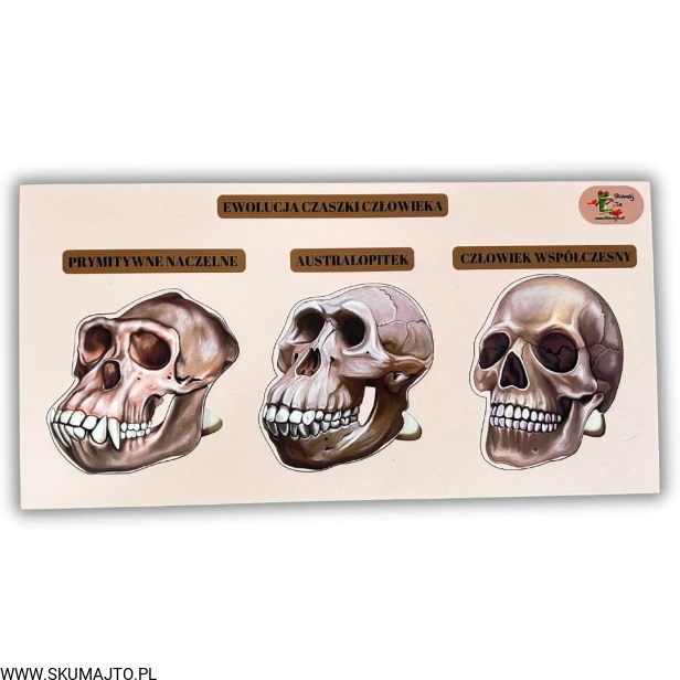 Projekt bez nazwy - 2025-02-03T143712.506.jpg