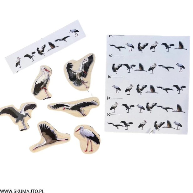 Projekt bez nazwy - 2025-03-18T191449.844.jpg