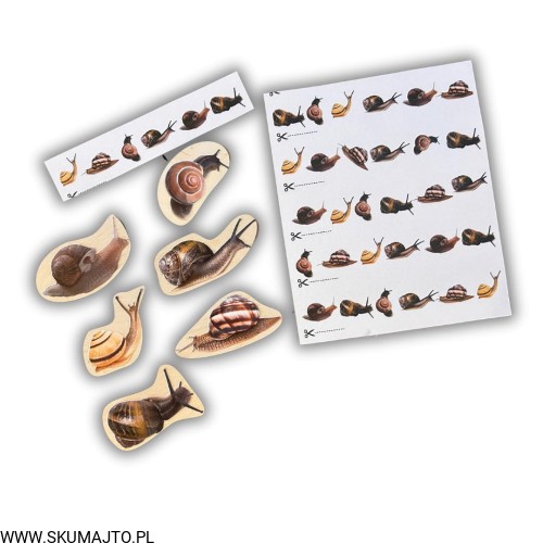 Projekt bez nazwy - 2025-03-18T191238.724.jpg