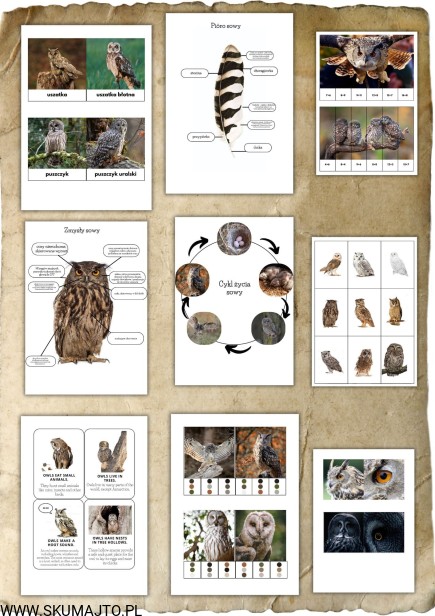 Projekt bez nazwy - 2025-04-09T164141.724.jpg