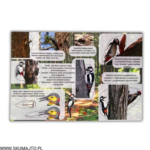 Projekt bez nazwy - 2025-05-02T161648.415.jpg