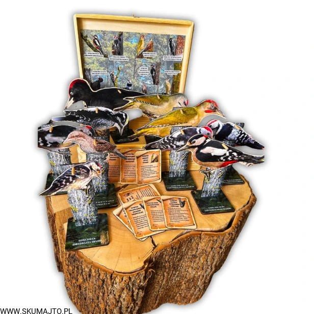 Projekt bez nazwy - 2025-05-02T161809.219.jpg