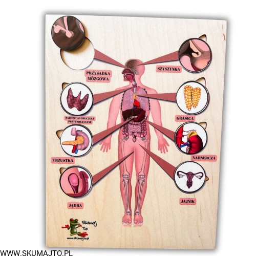 Projekt bez nazwy - 2025-06-30T141241.219.jpg