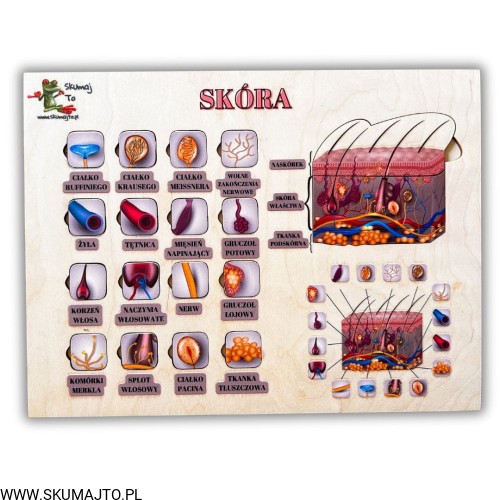 Projekt bez nazwy - 2025-06-30T141106.604.jpg