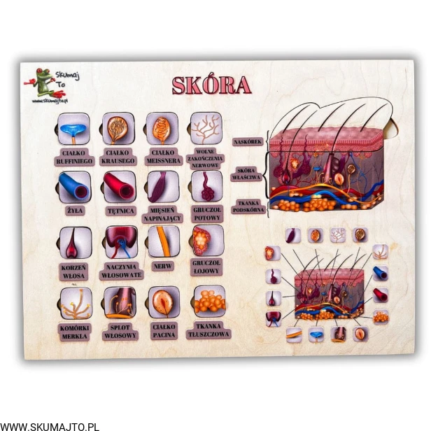 Projekt bez nazwy - 2025-06-30T141106.604.jpg