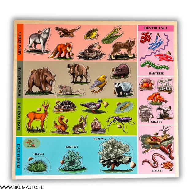 Projekt bez nazwy - 2025-07-25T132719.346.jpg