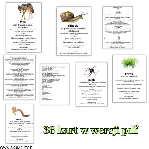 38 kart w wersji pdf.jpg