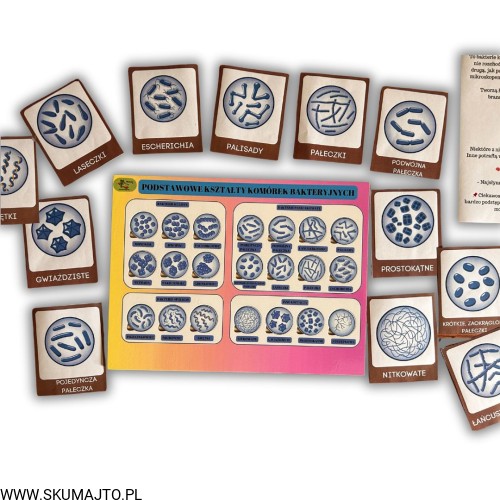 38 kart w wersji pdf (3).jpg