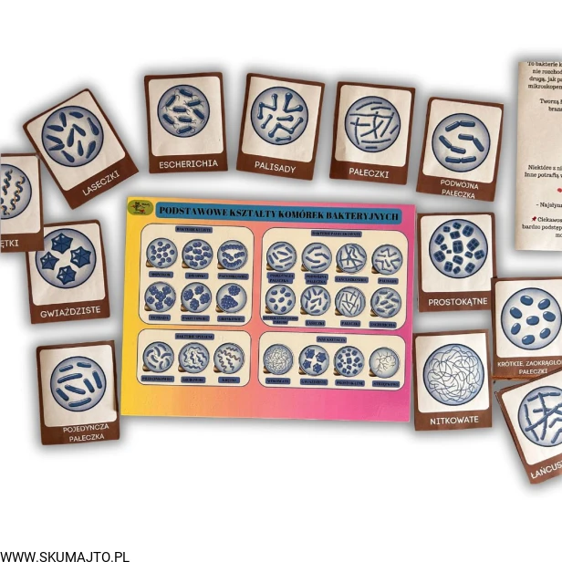 38 kart w wersji pdf (3).jpg