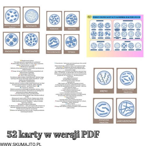 38 kart w wersji pdf (2).jpg