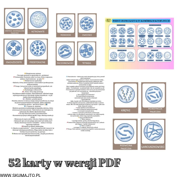 38 kart w wersji pdf (2).jpg
