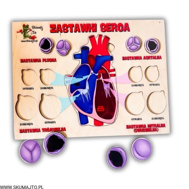 38 kart w wersji pdf (4).jpg