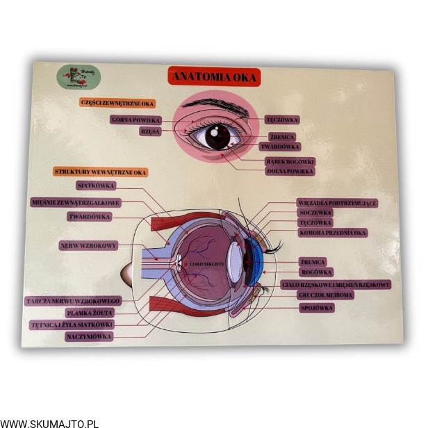 38 kart w wersji pdf (10).jpg