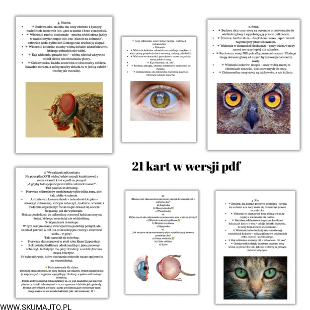 38 kart w wersji pdf (9).jpg